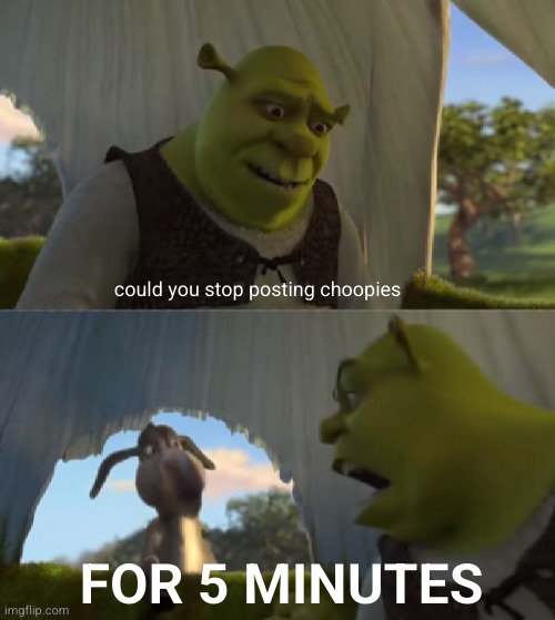 Could you not ___ for 5 MINUTES | could you stop posting choopies FOR 5 MINUTES | image tagged in could you not ___ for 5 minutes | made w/ Imgflip meme maker