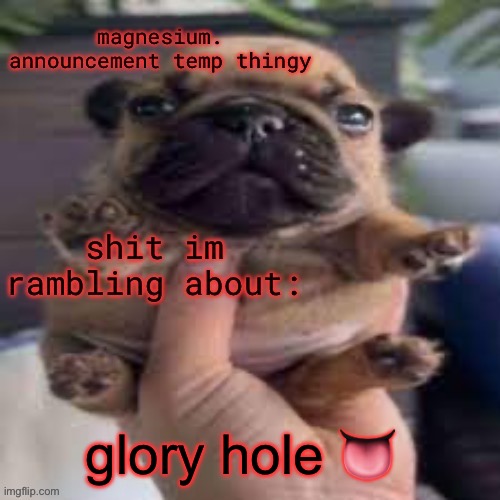 fucking kill me | glory hole 👅 | image tagged in pug temp | made w/ Imgflip meme maker