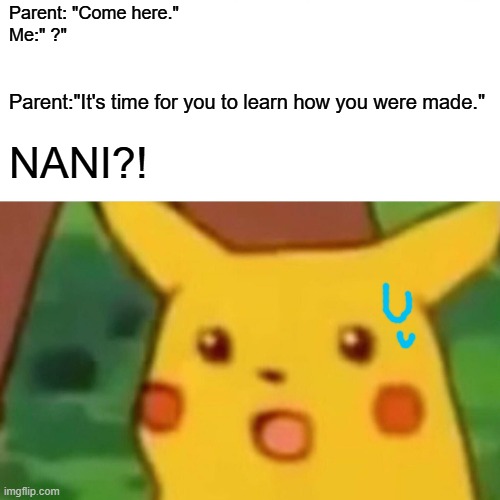 When it's time. | Parent: "Come here."
Me:" ?"; Parent:"It's time for you to learn how you were made."; NANI?! | image tagged in memes,surprised pikachu | made w/ Imgflip meme maker