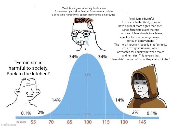 Bell Curve | "Feminism is harmful to society. In the West, women have equal or more rights than men. Since feminists claim that the purpose of feminism is to achieve equality, there is no longer a need for such a movement.
The more important issue is that feminists criticize egalitarianism, which advocates for equality between males and females. This reveals that feminists' motive isn't what they claim it to be."; "Feminism is great for society. It advocates for women's rights. More freedom for women can only be a good thing. Anybody that opposes feminism is a misogynist."; "Feminism is harmful to society. Back to the kitchen!" | image tagged in bell curve | made w/ Imgflip meme maker