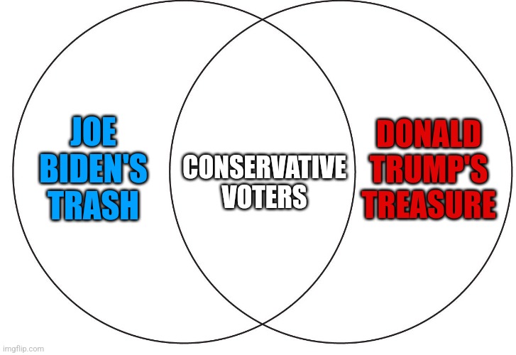 Trash n Treasure | CONSERVATIVE VOTERS; DONALD TRUMP'S TREASURE; JOE BIDEN'S TRASH | image tagged in ven diagram | made w/ Imgflip meme maker