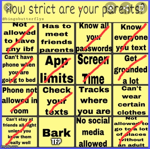 Strict parent bingo | TF? | image tagged in strict parent bingo | made w/ Imgflip meme maker