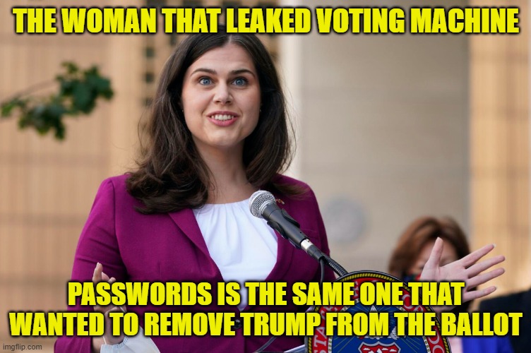 Colorado stoned leftist | THE WOMAN THAT LEAKED VOTING MACHINE; PASSWORDS IS THE SAME ONE THAT WANTED TO REMOVE TRUMP FROM THE BALLOT | image tagged in colorado,tds,trump derangement syndrome,maga,make america great again,voting | made w/ Imgflip meme maker