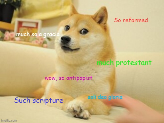 doge | So reformed; much sola gracia; much protestant; wow, so antipapist; Such scripture; soli deo gloria | image tagged in doge | made w/ Imgflip meme maker