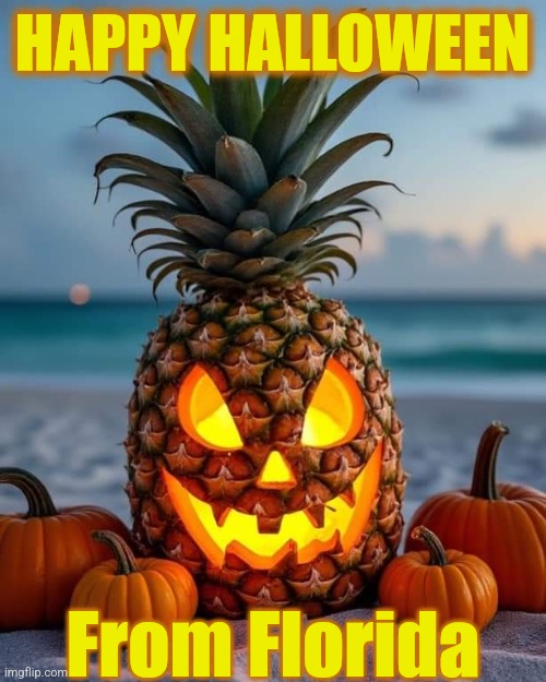 Halloween in Florida | HAPPY HALLOWEEN; From Florida | image tagged in halloween,florida,pineapple,happy halloween,halloween memes | made w/ Imgflip meme maker