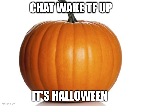 pumpkin | CHAT WAKE TF UP; IT'S HALLOWEEN | image tagged in pumpkin | made w/ Imgflip meme maker