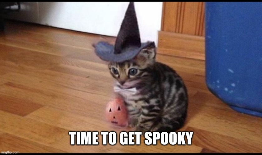 Post your Halloween fit in the comments | TIME TO GET SPOOKY | image tagged in halloween cat | made w/ Imgflip meme maker