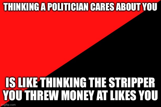 Your favorite politician doesn't care about you | THINKING A POLITICIAN CARES ABOUT YOU; IS LIKE THINKING THE STRIPPER YOU THREW MONEY AT LIKES YOU | image tagged in ancom flag | made w/ Imgflip meme maker