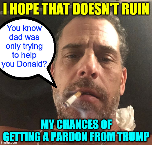 Hunter Biden | I HOPE THAT DOESN'T RUIN MY CHANCES OF GETTING A PARDON FROM TRUMP You know dad was only trying to help you Donald? | image tagged in hunter biden | made w/ Imgflip meme maker