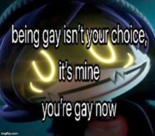 Being gay isn't your choice, it's mine. You're gay now | image tagged in being gay isn't your choice it's mine you're gay now | made w/ Imgflip meme maker