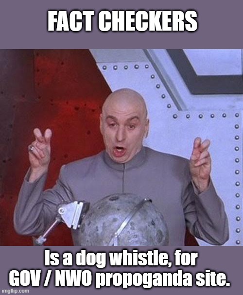 DR Reality | FACT CHECKERS; Is a dog whistle, for GOV / NWO propoganda site. | image tagged in memes,dr evil laser | made w/ Imgflip meme maker