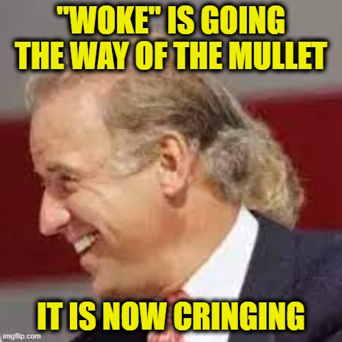 Out of fashion | "WOKE" IS GOING THE WAY OF THE MULLET; IT IS NOW CRINGING | image tagged in woke | made w/ Imgflip meme maker