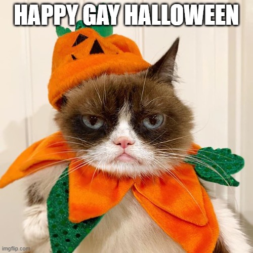 :) | HAPPY GAY HALLOWEEN | image tagged in grumpy cat halloween | made w/ Imgflip meme maker