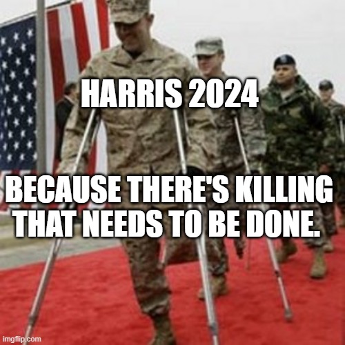 veterans lose money | HARRIS 2024; BECAUSE THERE'S KILLING THAT NEEDS TO BE DONE. | image tagged in veterans lose money | made w/ Imgflip meme maker