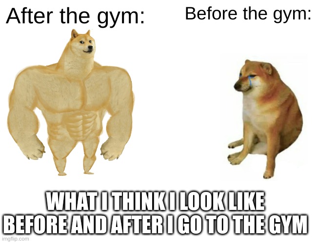 Buff Doge vs. Cheems Meme | After the gym:; Before the gym:; WHAT I THINK I LOOK LIKE BEFORE AND AFTER I GO TO THE GYM | image tagged in memes,buff doge vs cheems | made w/ Imgflip meme maker