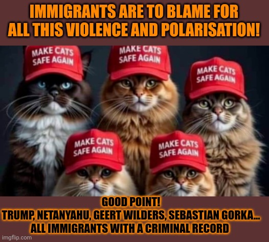 This #lolcat wonders if criminal immigrants are to blame | IMMIGRANTS ARE TO BLAME FOR ALL THIS VIOLENCE AND POLARISATION! GOOD POINT!
TRUMP, NETANYAHU, GEERT WILDERS, SEBASTIAN GORKA...
ALL IMMIGRANTS WITH A CRIMINAL RECORD | image tagged in immigration,donald trump,geert wilders,lolcat,criminals | made w/ Imgflip meme maker