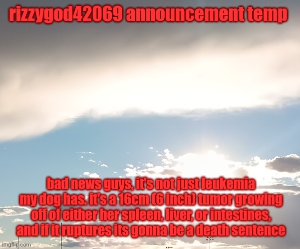 update on my dog | bad news guys, it's not just leukemia my dog has. it's a 16cm (6 inch) tumor growing off of either her spleen, liver, or intestines, and if it ruptures its gonna be a death sentence | image tagged in rizzygod42069 temp | made w/ Imgflip meme maker