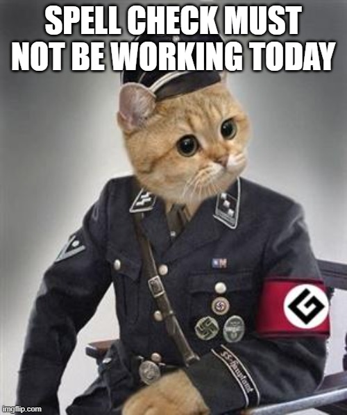 Grammar Nazi Cat | SPELL CHECK MUST NOT BE WORKING TODAY | image tagged in grammar nazi cat | made w/ Imgflip meme maker