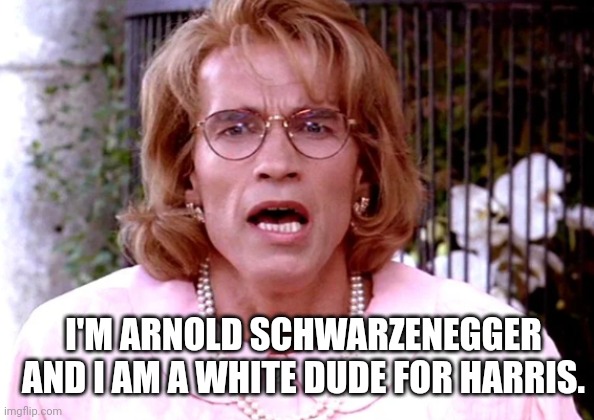 Arnold Schwarzenegger Joins White "Dudes?" For Harris | I'M ARNOLD SCHWARZENEGGER AND I AM A WHITE DUDE FOR HARRIS. | image tagged in arnold schwarzenegger,trans,dudes,kamala harris,stupid liberals,presidential race | made w/ Imgflip meme maker