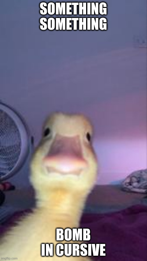 Duckling Bruh | SOMETHING SOMETHING BOMB IN CURSIVE | image tagged in duckling bruh | made w/ Imgflip meme maker