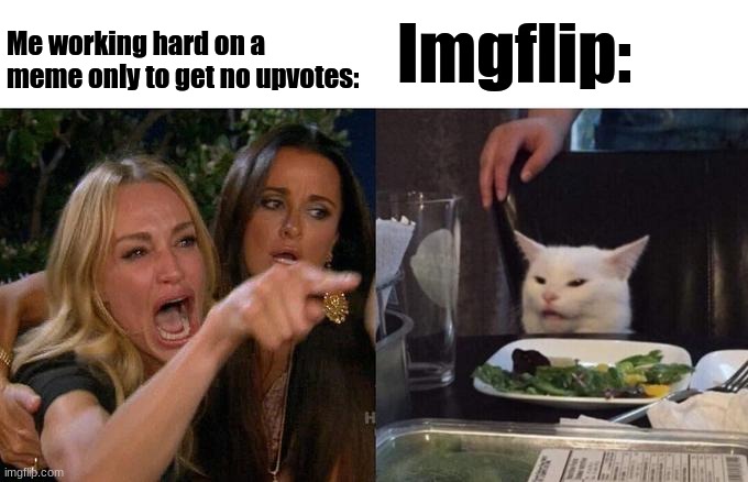 ? | Imgflip:; Me working hard on a meme only to get no upvotes: | image tagged in memes,woman yelling at cat | made w/ Imgflip meme maker