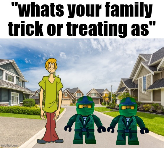 (i'm shaggy btw) | "whats your family trick or treating as" | image tagged in neighborhood | made w/ Imgflip meme maker