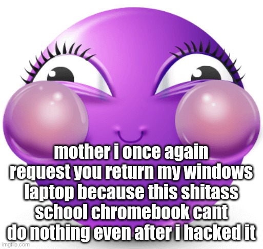 i am fucking insane | mother i once again request you return my windows laptop because this shitass school chromebook cant do nothing even after i hacked it | image tagged in i am fucking insane | made w/ Imgflip meme maker