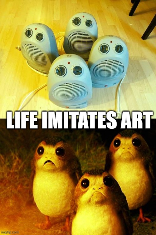 Porgs | LIFE IMITATES ART | image tagged in star wars,porg | made w/ Imgflip meme maker