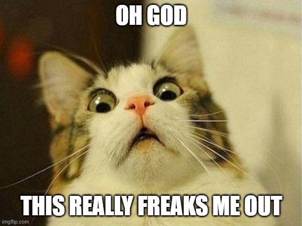 Scared Cat Meme | OH GOD THIS REALLY FREAKS ME OUT | image tagged in memes,scared cat | made w/ Imgflip meme maker