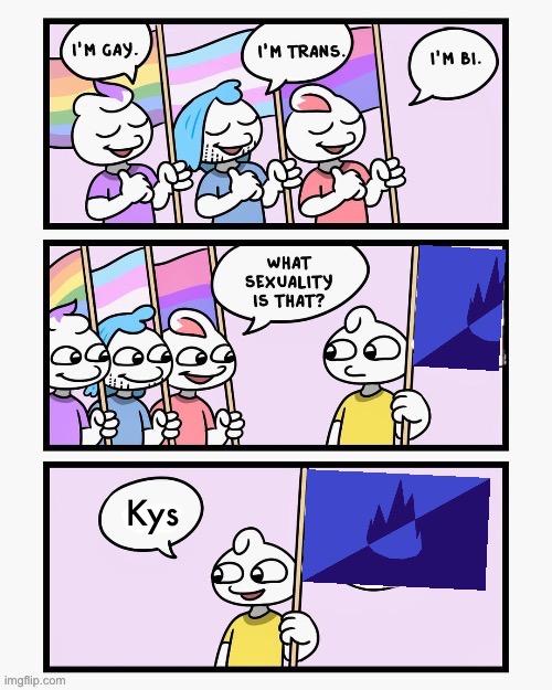stonetoss meme #17 | Kys | image tagged in what sexuality is that | made w/ Imgflip meme maker