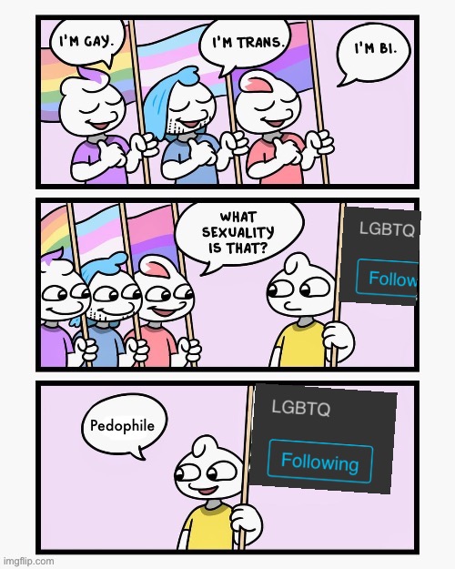 GUYS THIS IS BAIT DONT TAKE IT SERIOUSLY | Pedophile | image tagged in what sexuality is that | made w/ Imgflip meme maker
