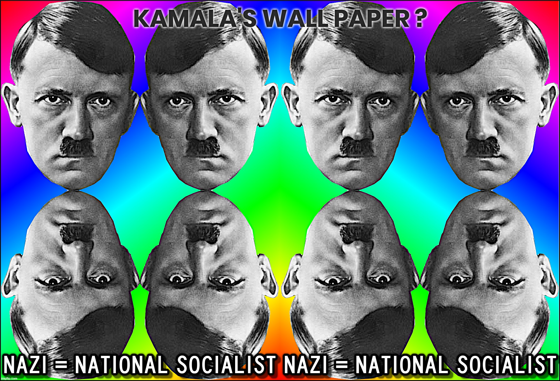 KAMALA'S WALLPAPER ? | KAMALA'S WALL PAPER ? NAZI = NATIONAL SOCIALIST | image tagged in kamala harris,biden,coup,liar,disloyal,hitler | made w/ Imgflip meme maker