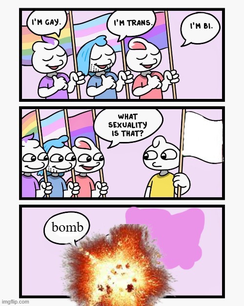 What Sexuality Is That? | bomb | image tagged in what sexuality is that | made w/ Imgflip meme maker