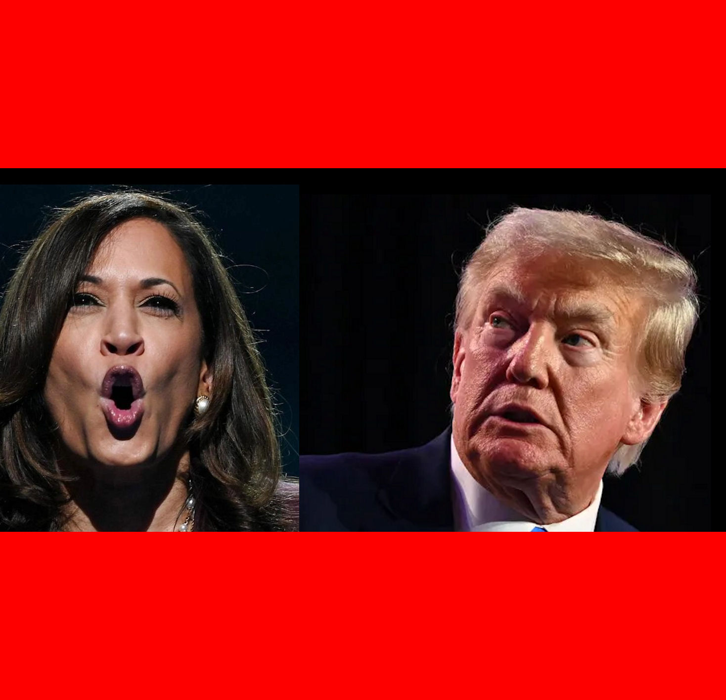 HARRIS OR TRUMP Blank Meme Template