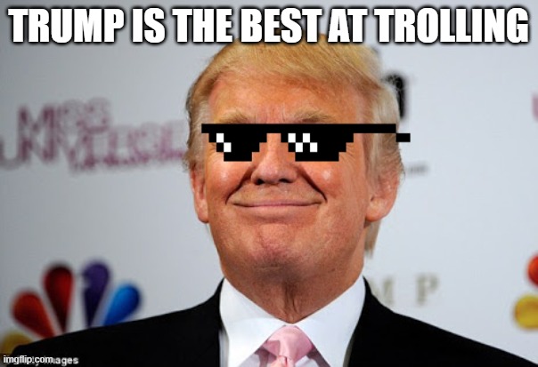 Donald trump approves | TRUMP IS THE BEST AT TROLLING | image tagged in donald trump approves | made w/ Imgflip meme maker