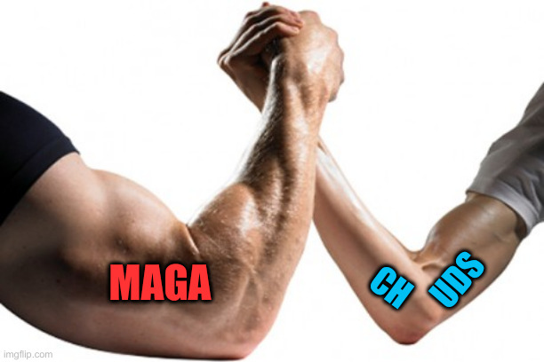 Strong Vs. Weak | MAGA CH UDS | image tagged in strong vs weak | made w/ Imgflip meme maker