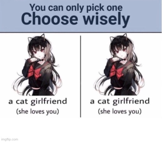 Choose wisely | image tagged in choose wisely | made w/ Imgflip meme maker