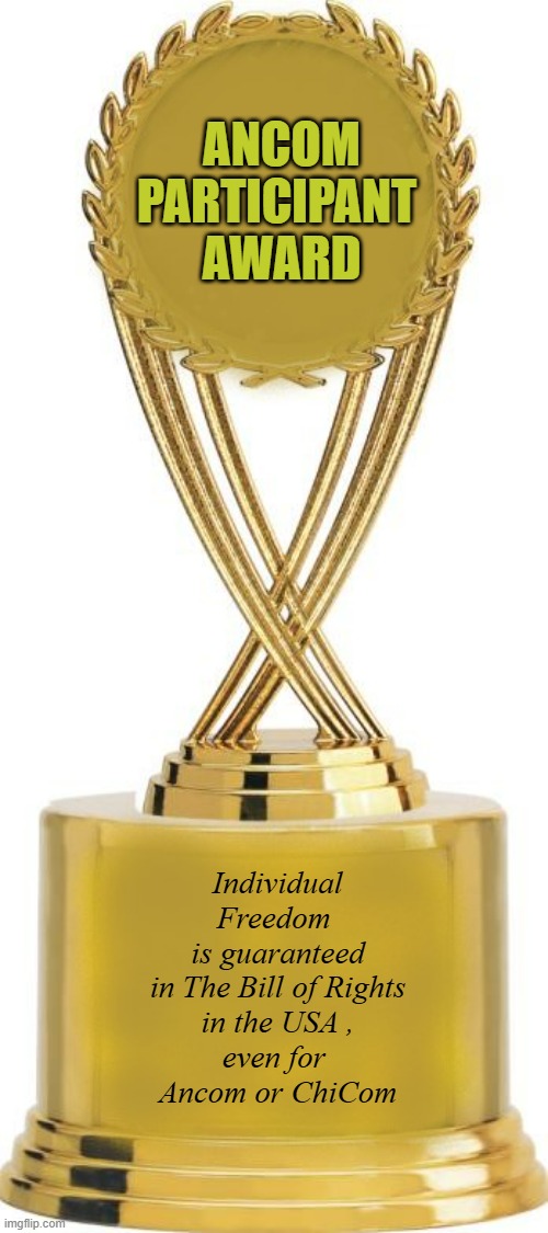 Participation Trophy | ANCOM
PARTICIPANT 
AWARD Individual
Freedom 
is guaranteed
in The Bill of Rights
in the USA ,
even for 
Ancom or ChiCom | image tagged in participation trophy | made w/ Imgflip meme maker