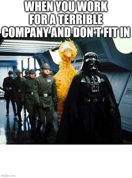 Working for Terrible Company | WHEN YOU WORK FOR A TERRIBLE COMPANY AND DON'T FIT IN | image tagged in vader big bird | made w/ Imgflip meme maker