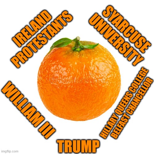 THINGS THAT ARE ORANGE | IRELAND
PROTESTANTS; SYARCUSE
UNIVERSITY; HILLARY QUEENS COLLEGE
BELFAST CHANCELLOR; WILLIAM III; TRUMP | image tagged in orange,ireland,prince william,orange trump,hillary clinton,garbage | made w/ Imgflip meme maker