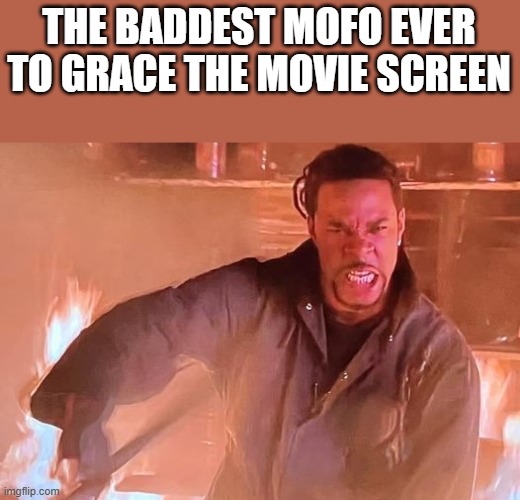 Baddest Mofo Ever To Grace The Movie Screen | THE BADDEST MOFO EVER TO GRACE THE MOVIE SCREEN | image tagged in mofo,movie,busta rhymes,halloween resurrection,funny,memes | made w/ Imgflip meme maker