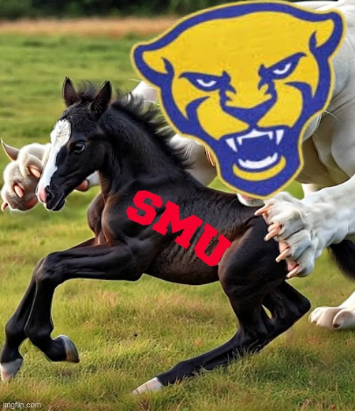 SMU vs Pittsburgh meme | image tagged in memes,college football,football,pittsburgh,funny memes,sports | made w/ Imgflip meme maker