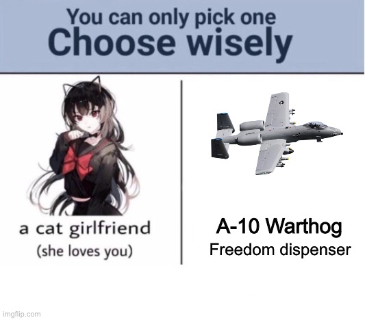 Choose wisely | A-10 Warthog; Freedom dispenser | image tagged in choose wisely,a-10 | made w/ Imgflip meme maker