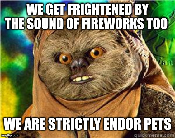 rape ewok | WE GET FRIGHTENED BY THE SOUND OF FIREWORKS TOO WE ARE STRICTLY ENDOR PETS | image tagged in rape ewok | made w/ Imgflip meme maker