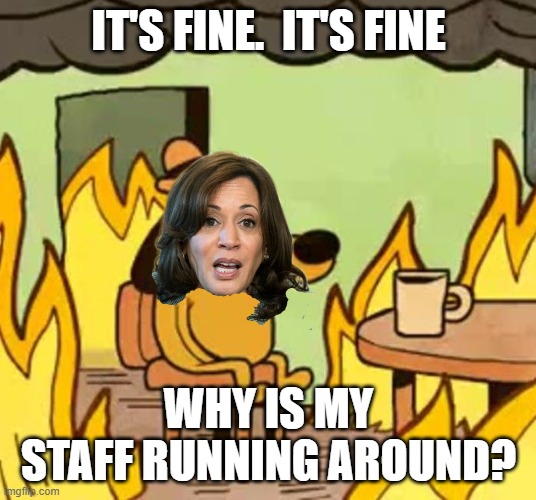 Its fine | IT'S FINE.  IT'S FINE WHY IS MY STAFF RUNNING AROUND? | image tagged in its fine | made w/ Imgflip meme maker