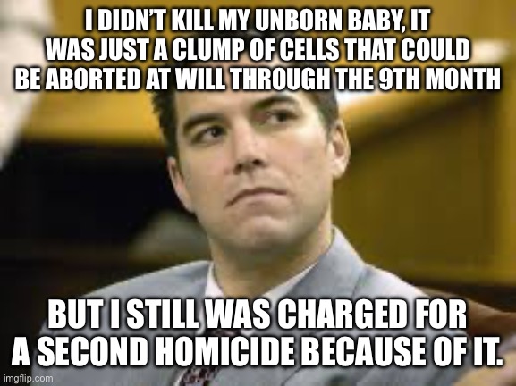 Scott Peterson | I DIDN’T KILL MY UNBORN BABY, IT WAS JUST A CLUMP OF CELLS THAT COULD BE ABORTED AT WILL THROUGH THE 9TH MONTH; BUT I STILL WAS CHARGED FOR A SECOND HOMICIDE BECAUSE OF IT. | image tagged in scott peterson,abortion | made w/ Imgflip meme maker