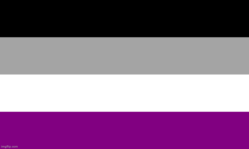 Asexual Flag | image tagged in asexual flag | made w/ Imgflip meme maker