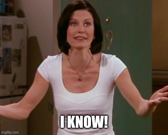 Monica Friends | I KNOW! | image tagged in monica friends | made w/ Imgflip meme maker