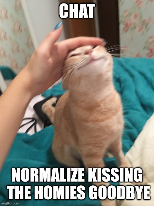 ;3 | CHAT; NORMALIZE KISSING  THE HOMIES GOODBYE | image tagged in cat pat | made w/ Imgflip meme maker