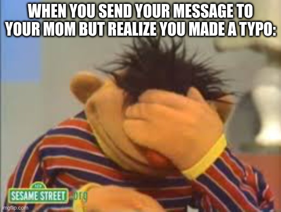 i hate when that happens | WHEN YOU SEND YOUR MESSAGE TO YOUR MOM BUT REALIZE YOU MADE A TYPO: | image tagged in sesame street | made w/ Imgflip meme maker